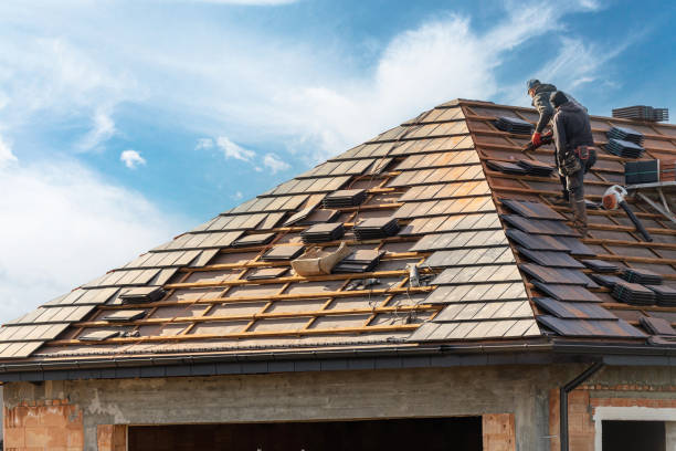 Best Roofing for New Construction  in Marlinton, WV